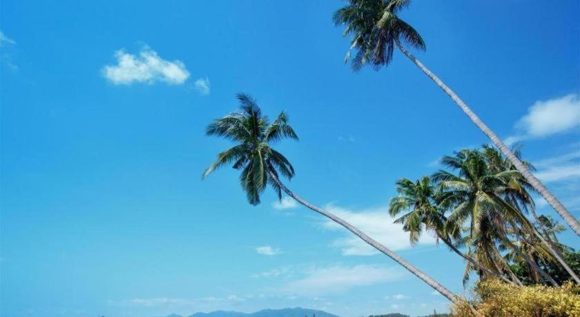 Sea 3* Chaweng (Koh Samui)